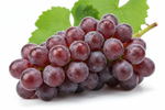 Grape Juice